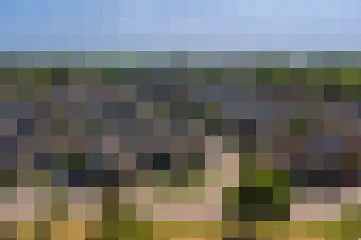 Wilgestraat 21 's-Gravenpolder thumbnail 35