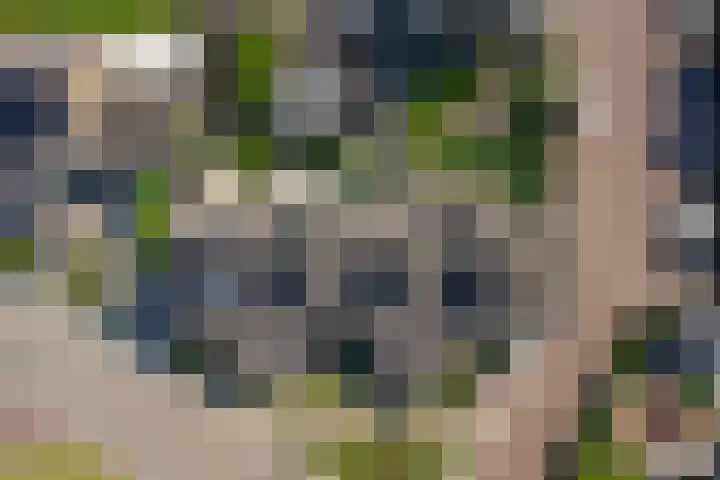 Wilgestraat 21 's-Gravenpolder thumbnail 36