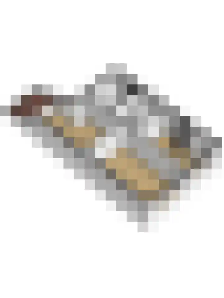 Wilgestraat 21 's-Gravenpolder thumbnail 38
