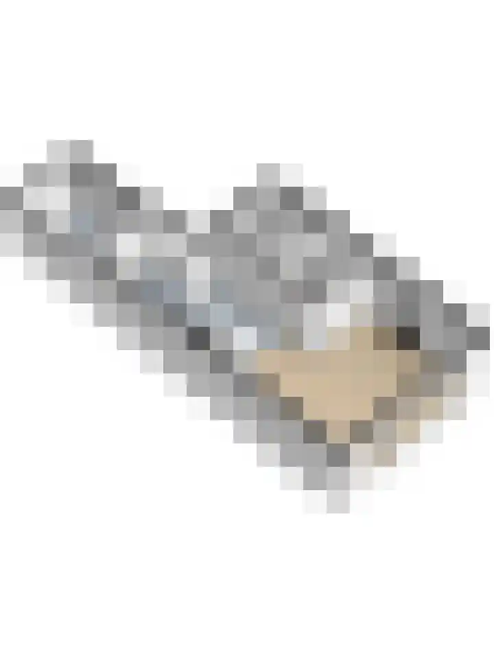 Wilgestraat 21 's-Gravenpolder thumbnail 39