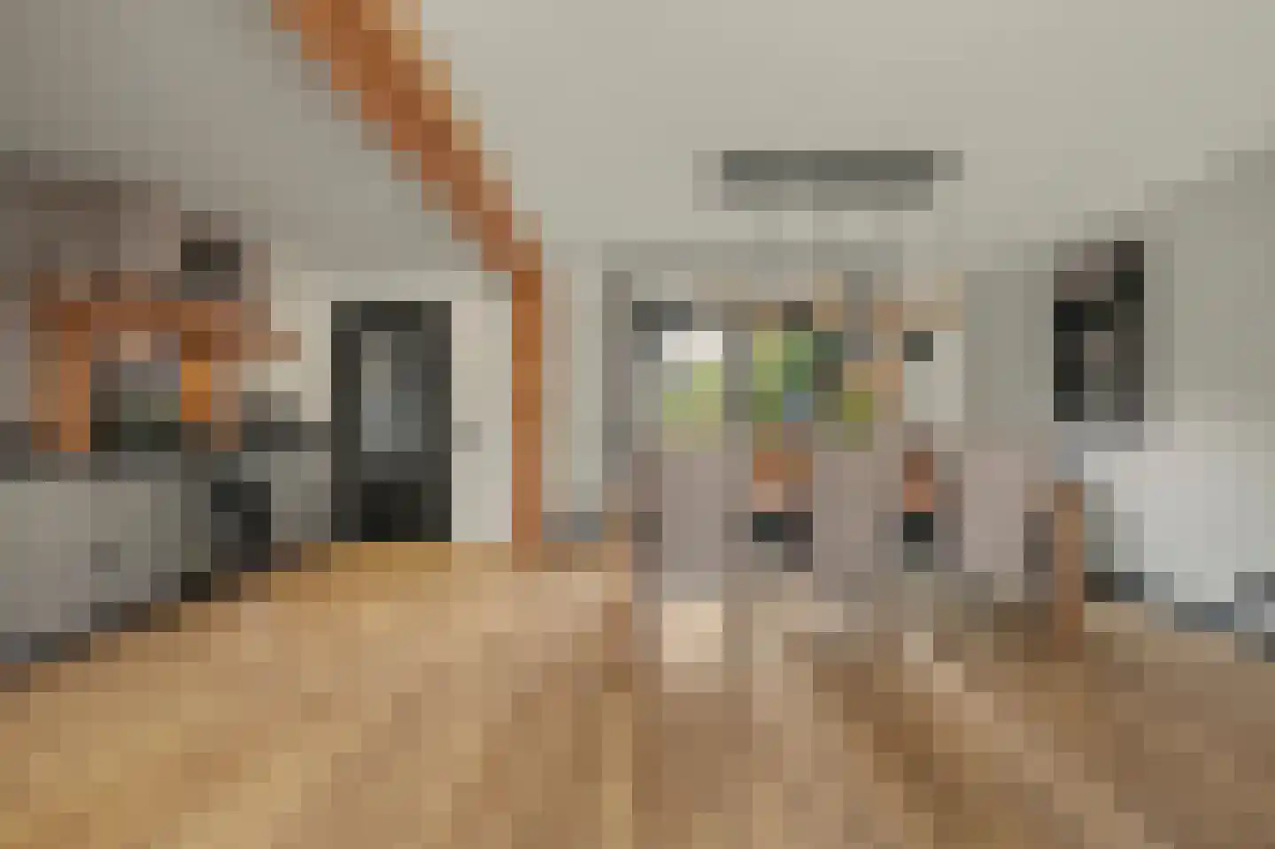 Wilgestraat 22 's-Gravenpolder thumbnail 13