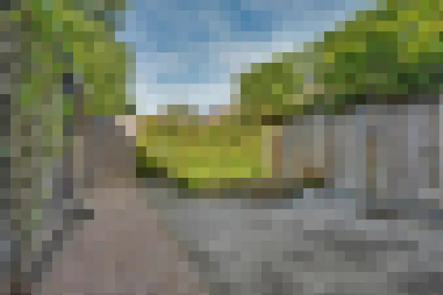 Wilgestraat 22 's-Gravenpolder thumbnail 36