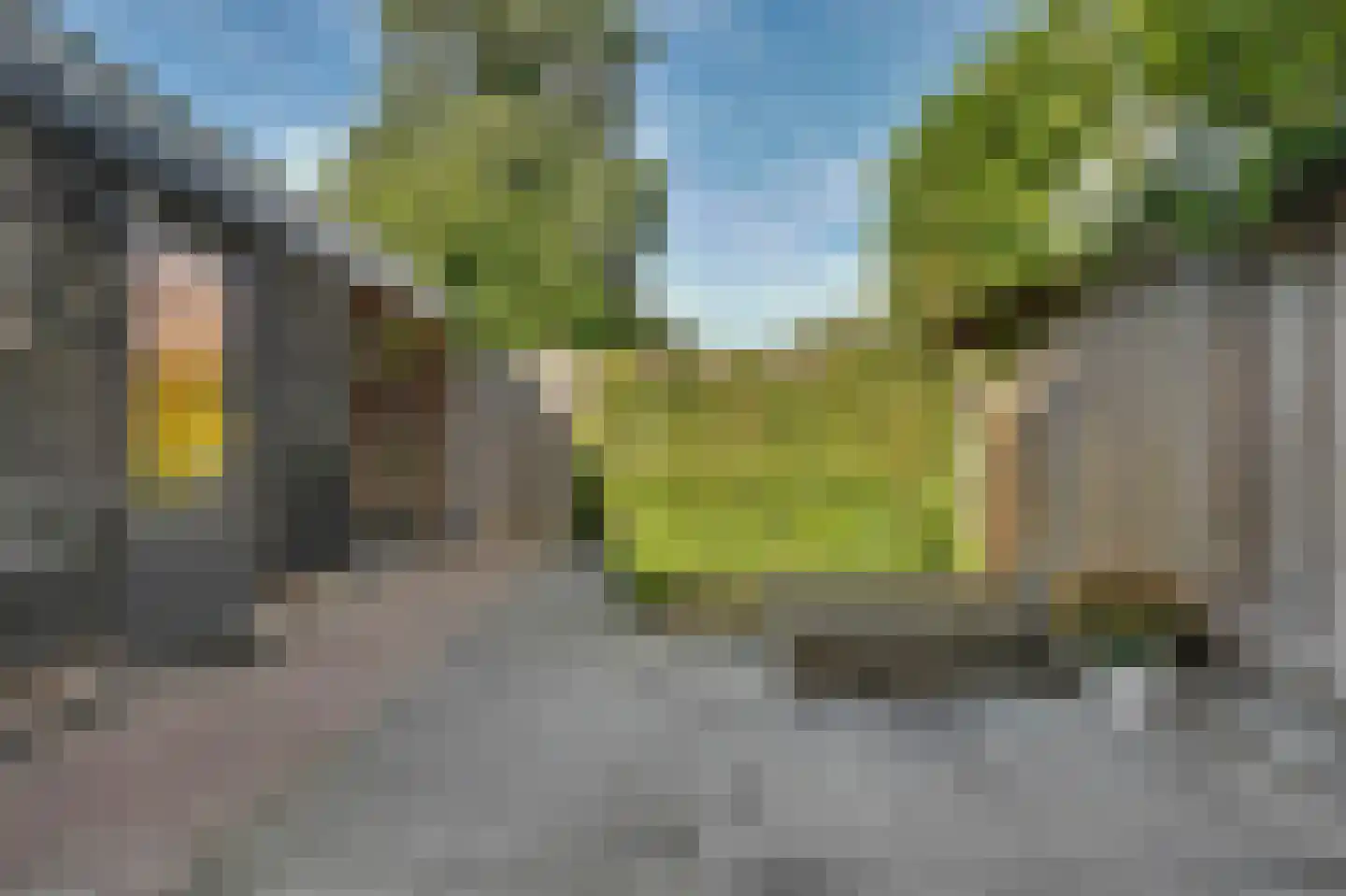 Wilgestraat 22 's-Gravenpolder thumbnail 38