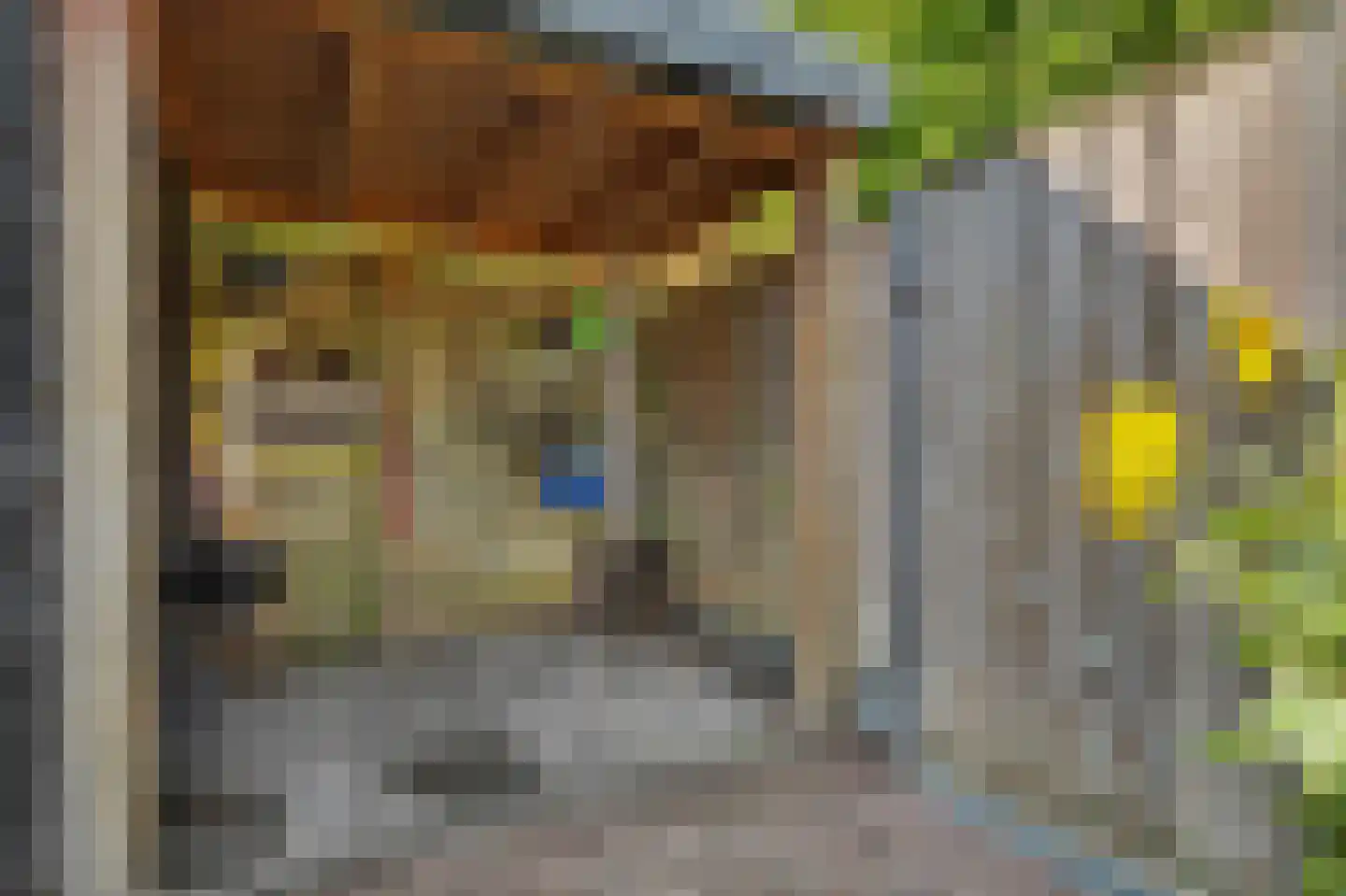 Wilgestraat 22 's-Gravenpolder thumbnail 41