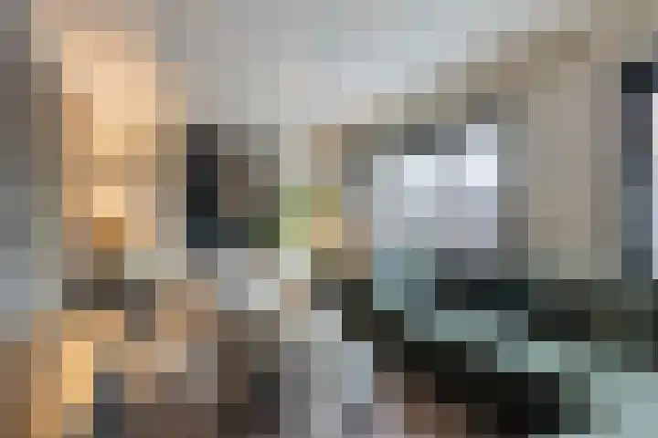 Wilgestraat 35 's-Gravenpolder thumbnail 13