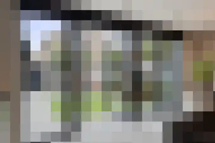 Wilgestraat 35 's-Gravenpolder thumbnail 26