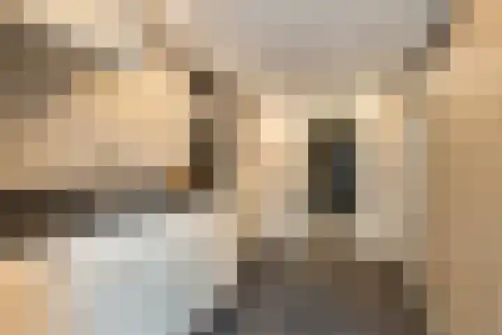 Wilgestraat 35 's-Gravenpolder thumbnail 29