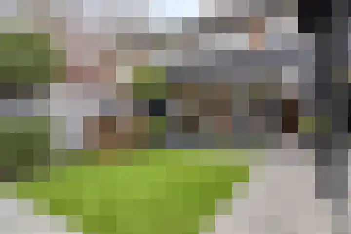 Wilgestraat 35 's-Gravenpolder thumbnail 53