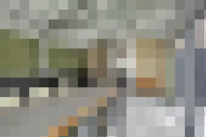 Wilgestraat 35 's-Gravenpolder thumbnail 60