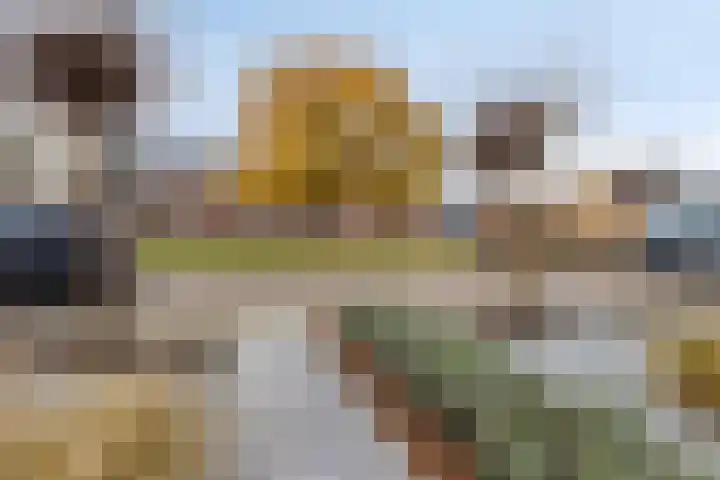 Wilgestraat 35 's-Gravenpolder thumbnail 63