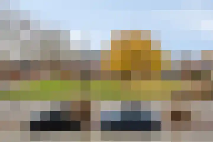 Wilgestraat 35 's-Gravenpolder thumbnail 64