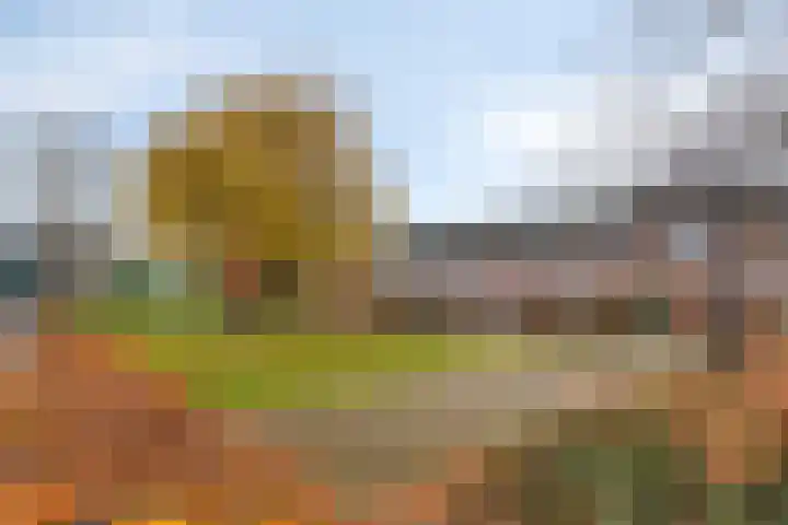 Wilgestraat 35 's-Gravenpolder thumbnail 67