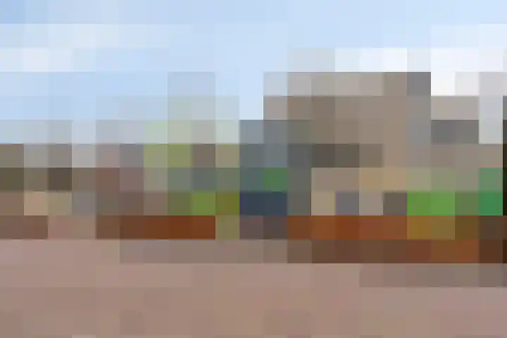 Wilgestraat 35 's-Gravenpolder thumbnail 68
