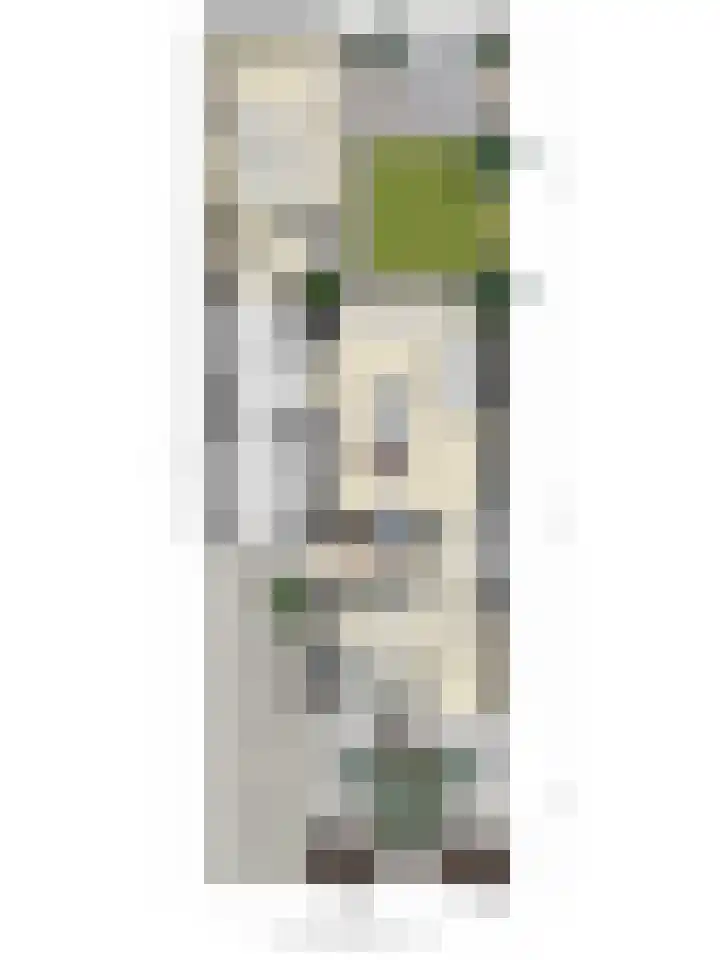 Wilgestraat 35 's-Gravenpolder thumbnail 69