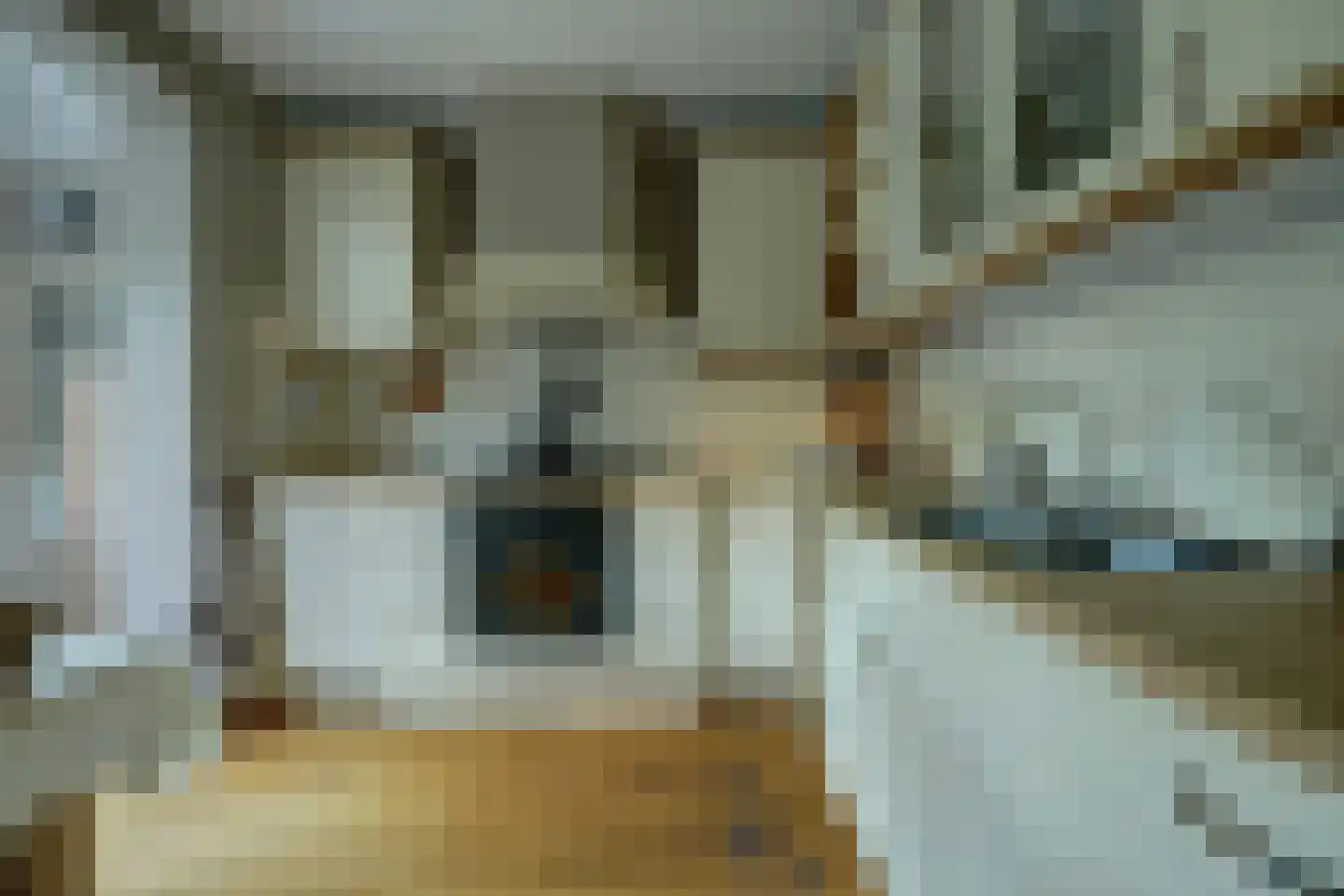 Wilgestraat 37 's-Gravenpolder thumbnail 14