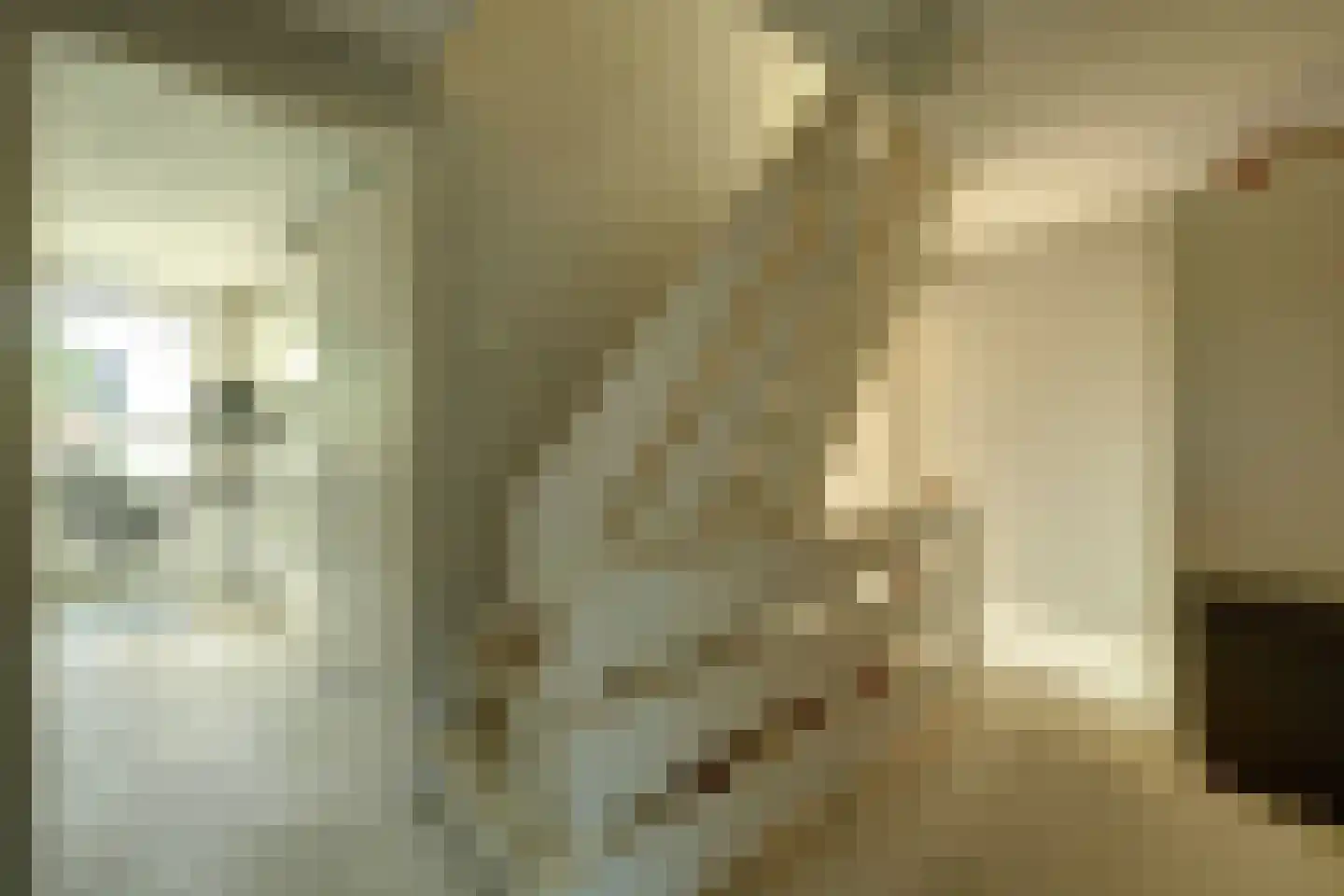 Wilgestraat 37 's-Gravenpolder thumbnail 30