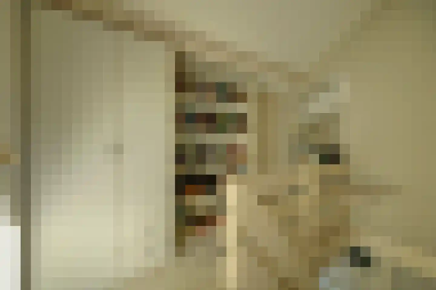 Wilgestraat 37 's-Gravenpolder thumbnail 31