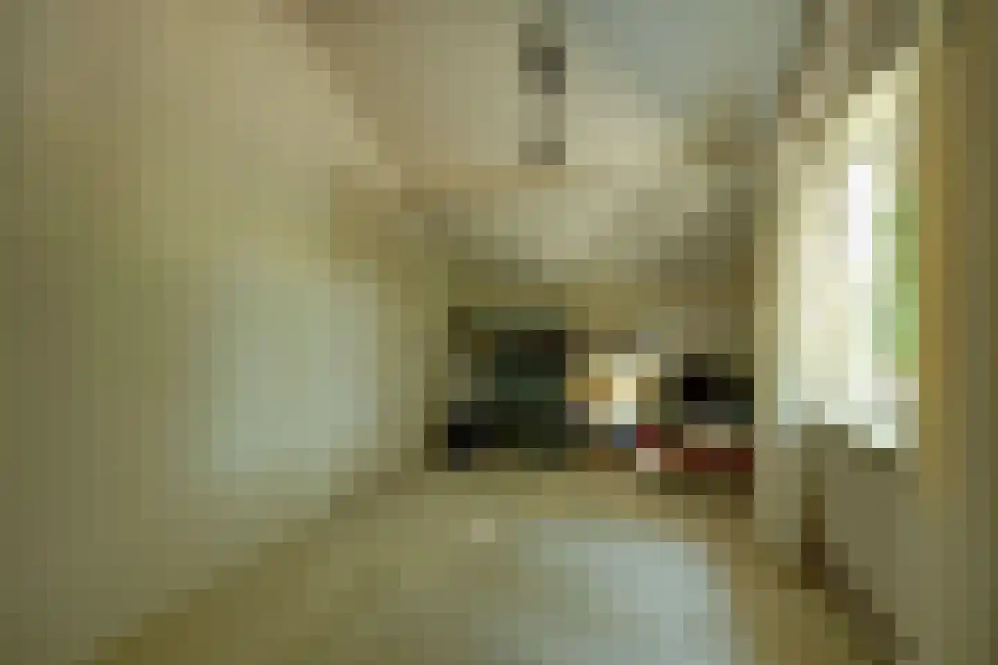 Wilgestraat 37 's-Gravenpolder thumbnail 33