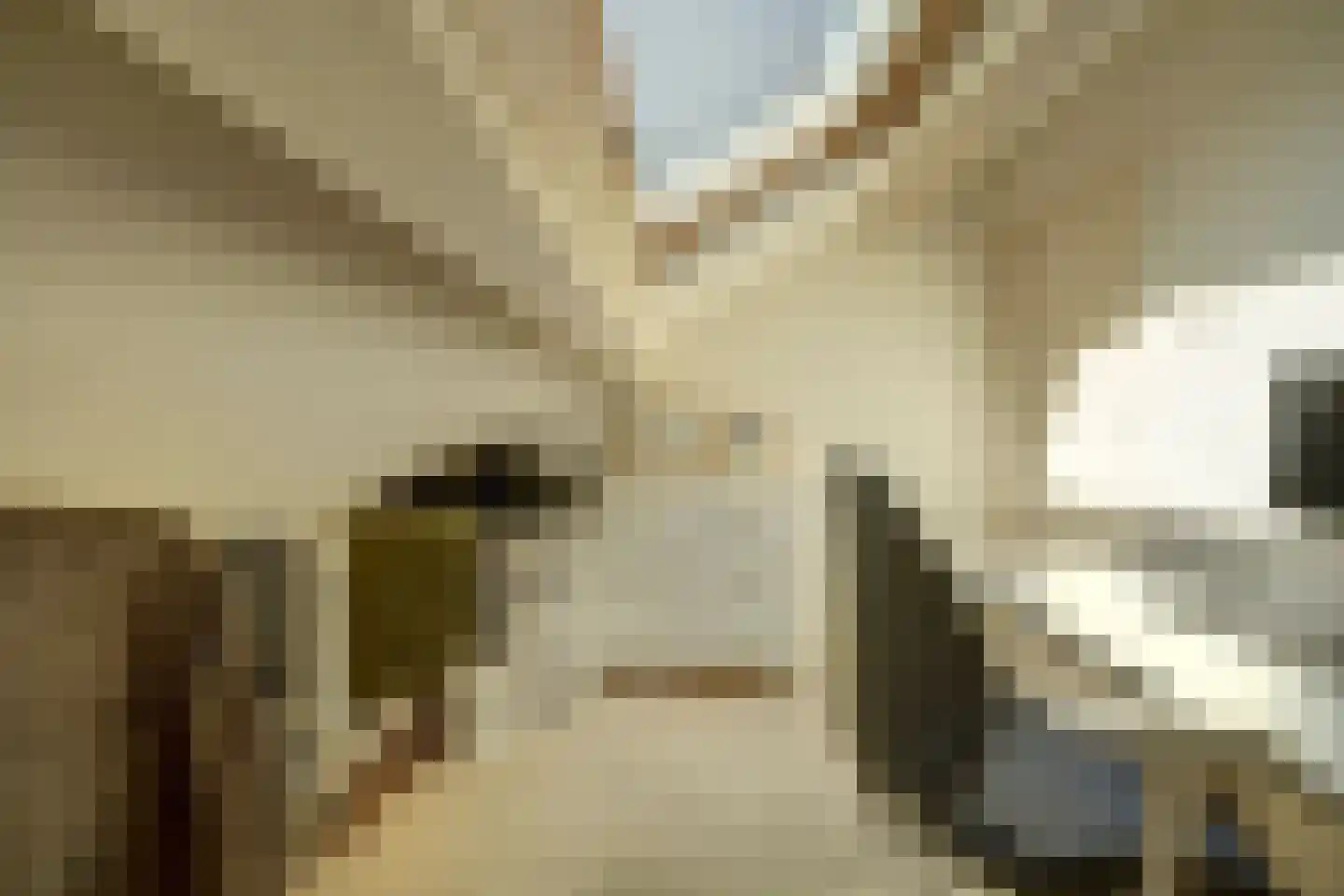 Wilgestraat 37 's-Gravenpolder thumbnail 35