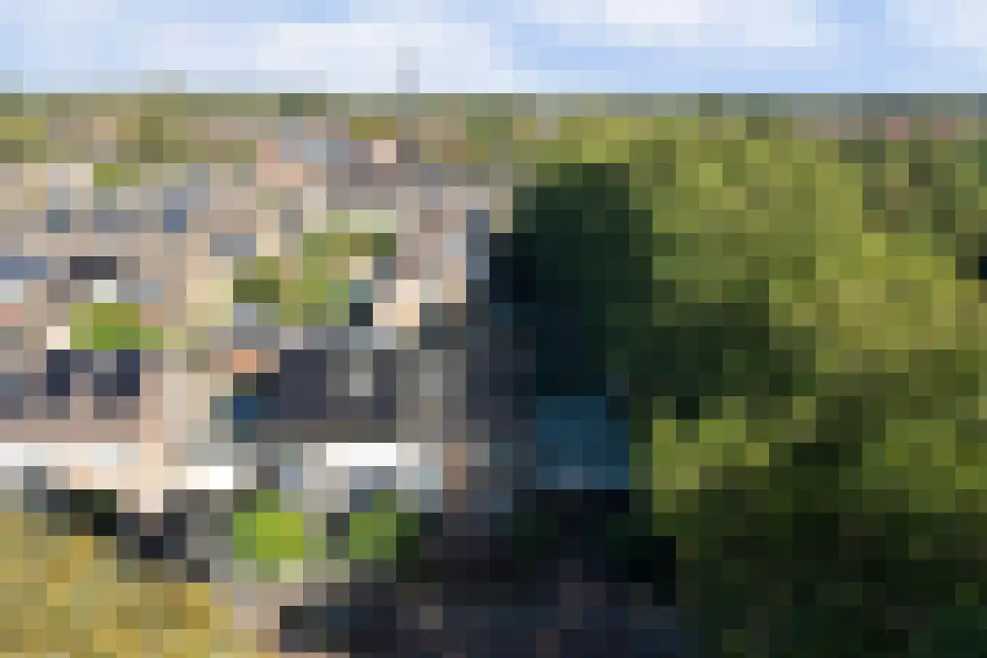 Wilgestraat 37 's-Gravenpolder thumbnail 53