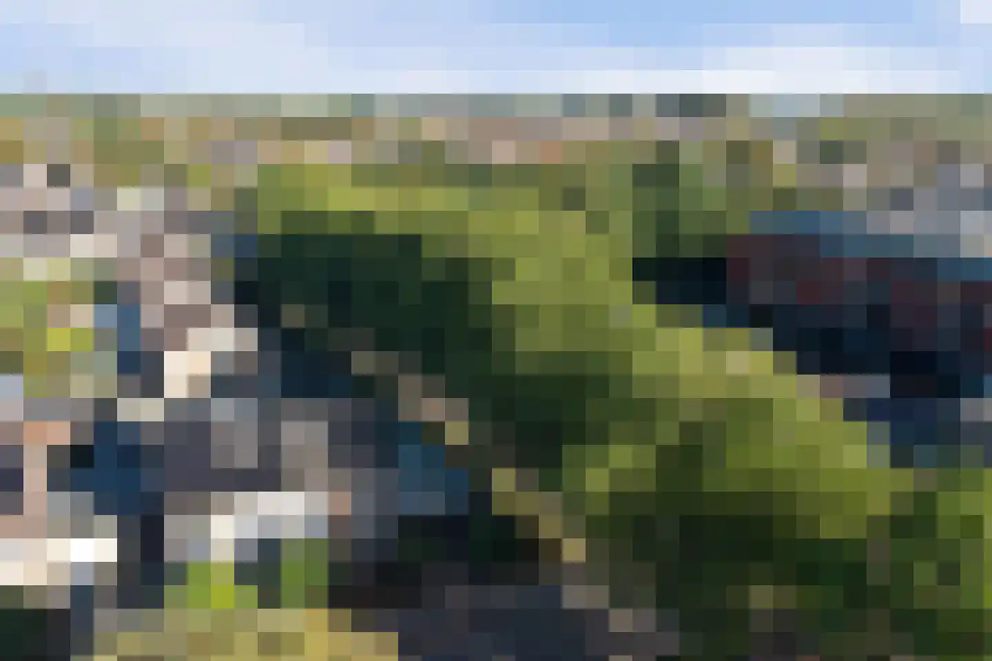 Wilgestraat 37 's-Gravenpolder thumbnail 54