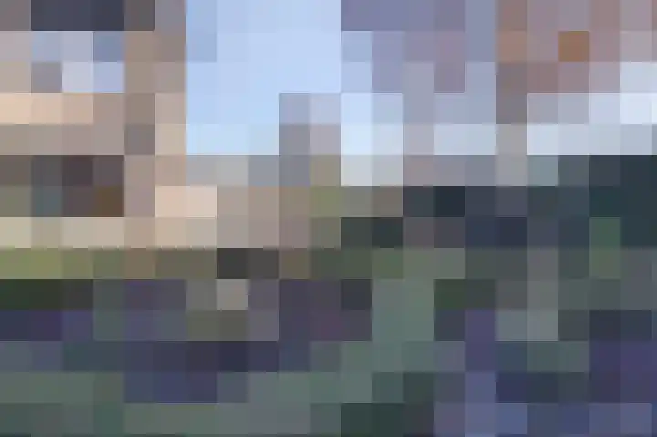 Wilgestraat 8 's-Gravenpolder thumbnail 30
