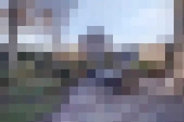 Wilgestraat 8 's-Gravenpolder thumbnail 32