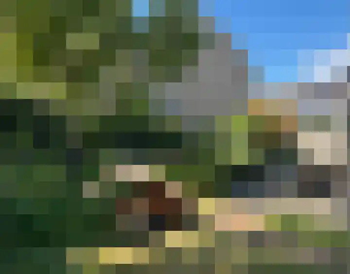 Wilgestraat 8 's-Gravenpolder thumbnail 34