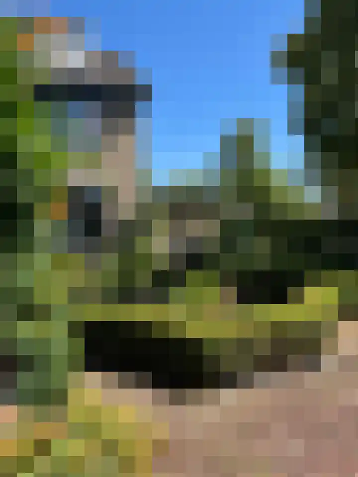 Wilgestraat 8 's-Gravenpolder thumbnail 35