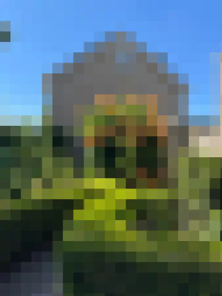 Wilgestraat 8 's-Gravenpolder thumbnail 36