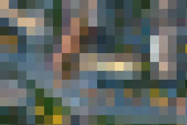 Wilgestraat 8 's-Gravenpolder thumbnail 37