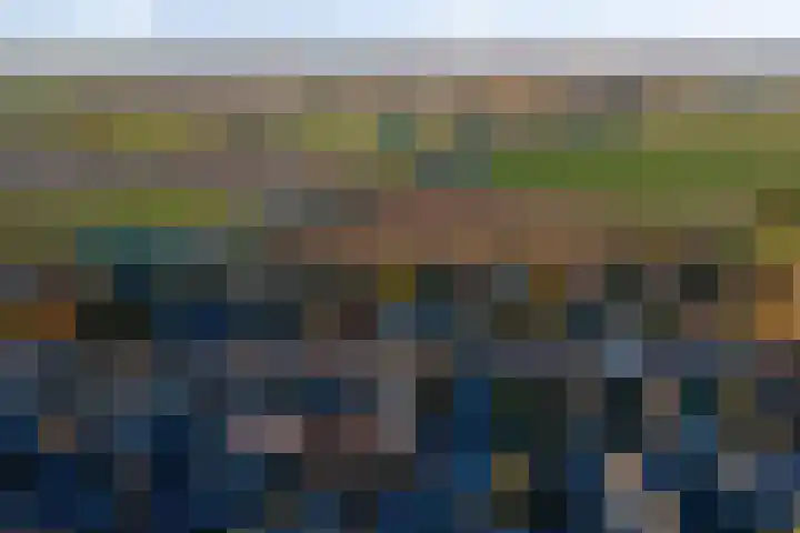 Wilgestraat 8 's-Gravenpolder thumbnail 39