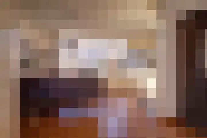 Wilgestraat 8 's-Gravenpolder thumbnail 9