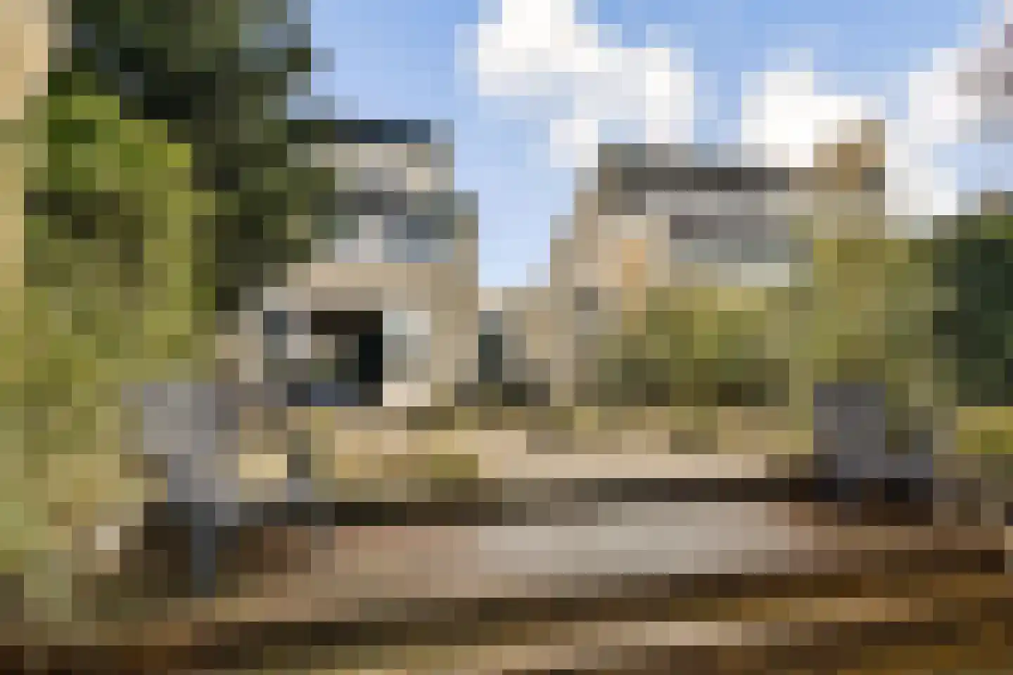 Wilgewinde 44 Dordrecht thumbnail 23
