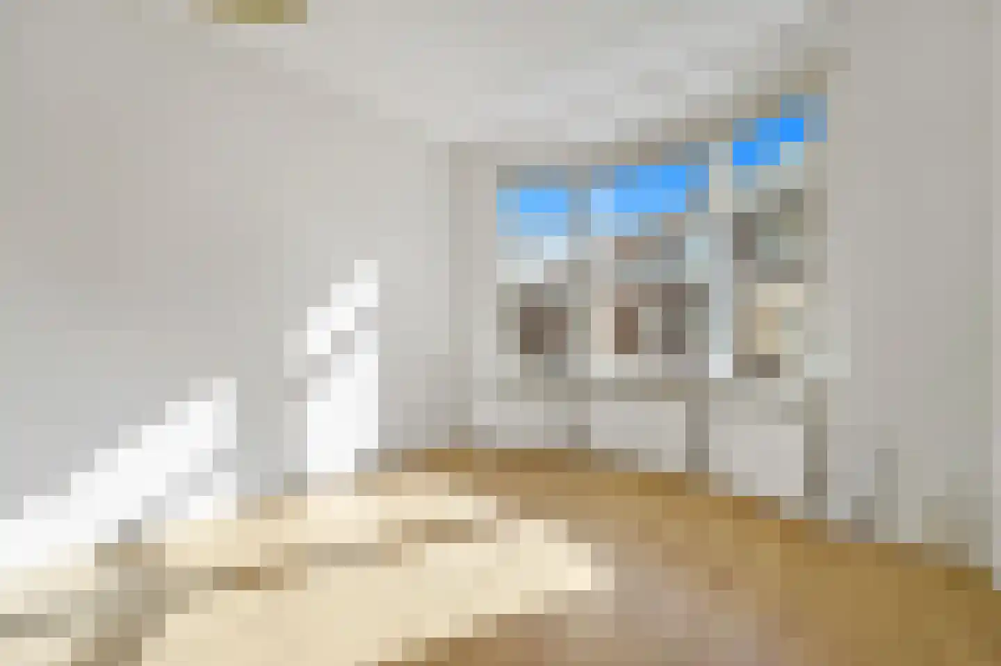 Wilgstraat 4 Den Haag thumbnail 10