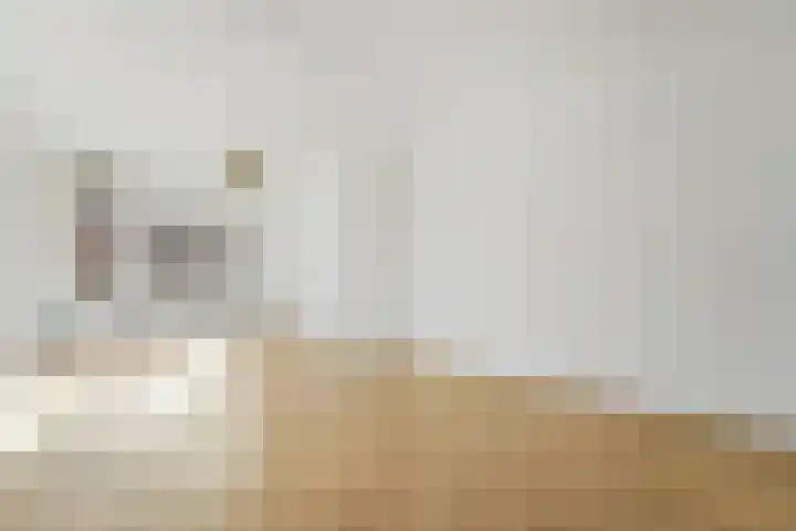 Wilgstraat 4 Den Haag thumbnail 8