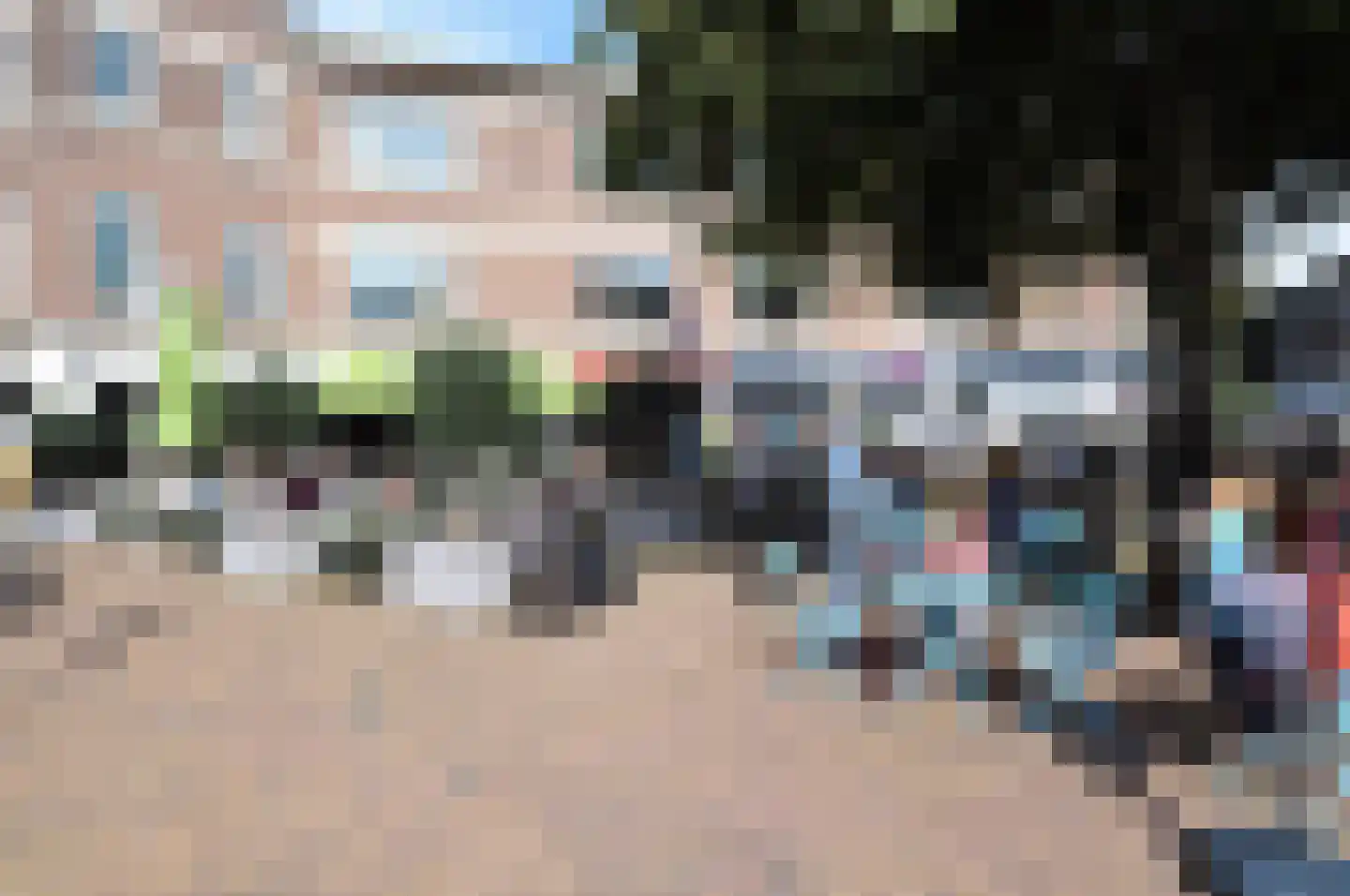 Wilgstraat 48 Den Haag thumbnail 43