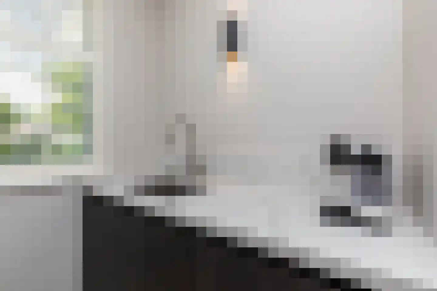 Wilhelm Röntgenstraat 8 Almere thumbnail 21