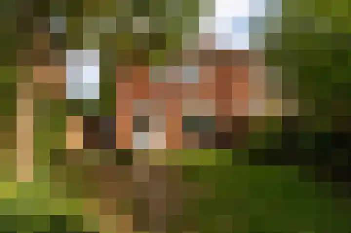 Wilhelmietenstraat 12 Ossendrecht thumbnail 32