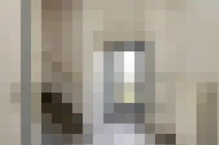 Wilhelmietenstraat 12 Ossendrecht thumbnail 4