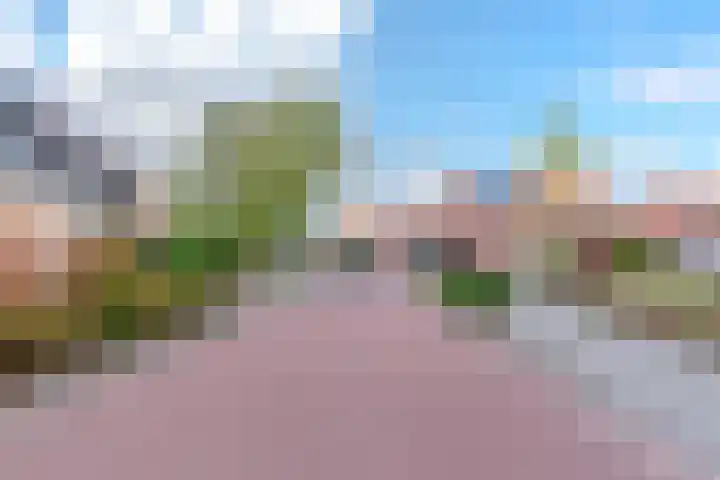 Wilhelmietenstraat 33 Huijbergen thumbnail 6