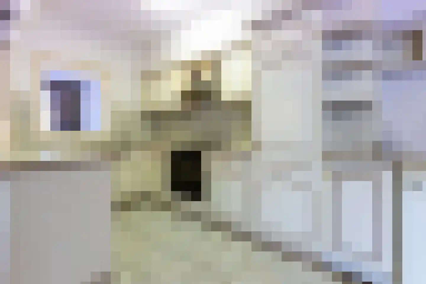 Wilhelmietenstraat 41 Huijbergen thumbnail 14