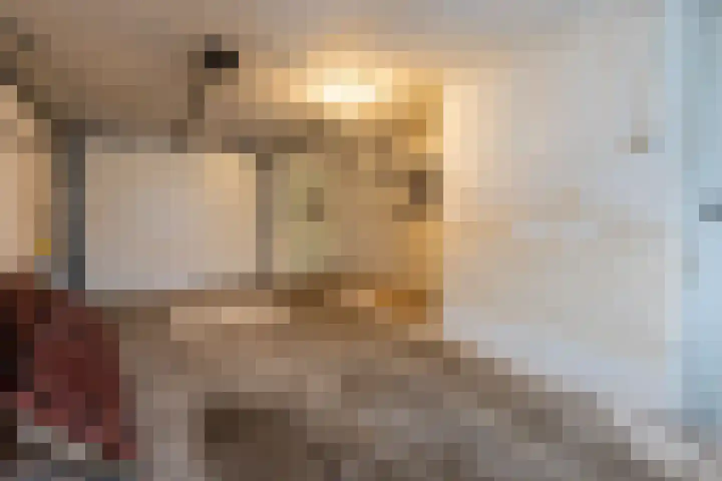 Wilhelmietenstraat 41 Huijbergen thumbnail 46