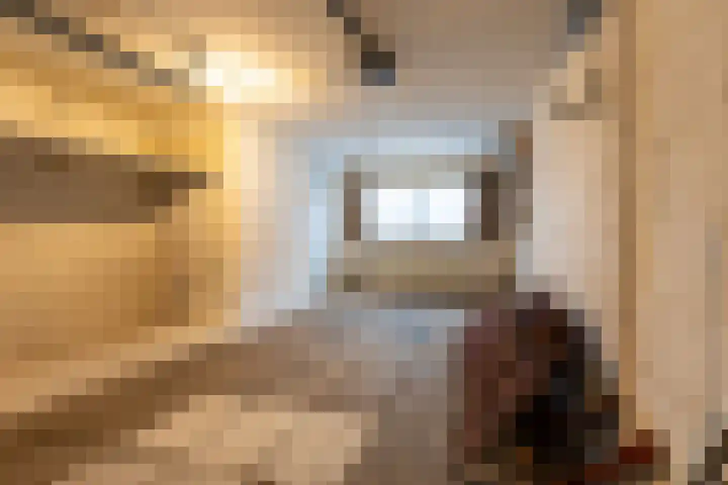 Wilhelmietenstraat 41 Huijbergen thumbnail 47