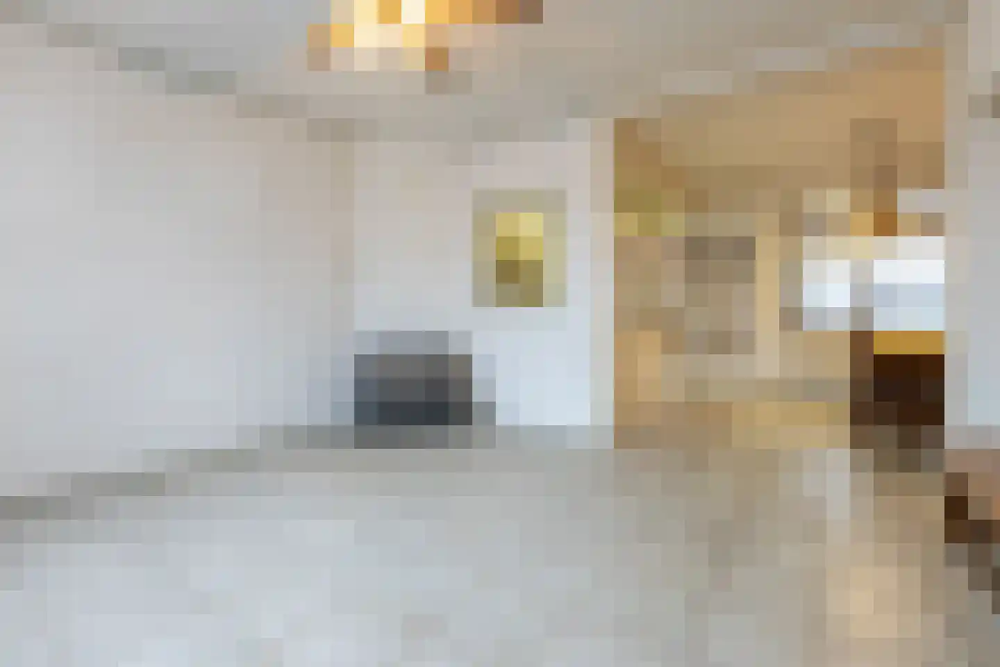 Wilhelmietenstraat 41 Huijbergen thumbnail 6