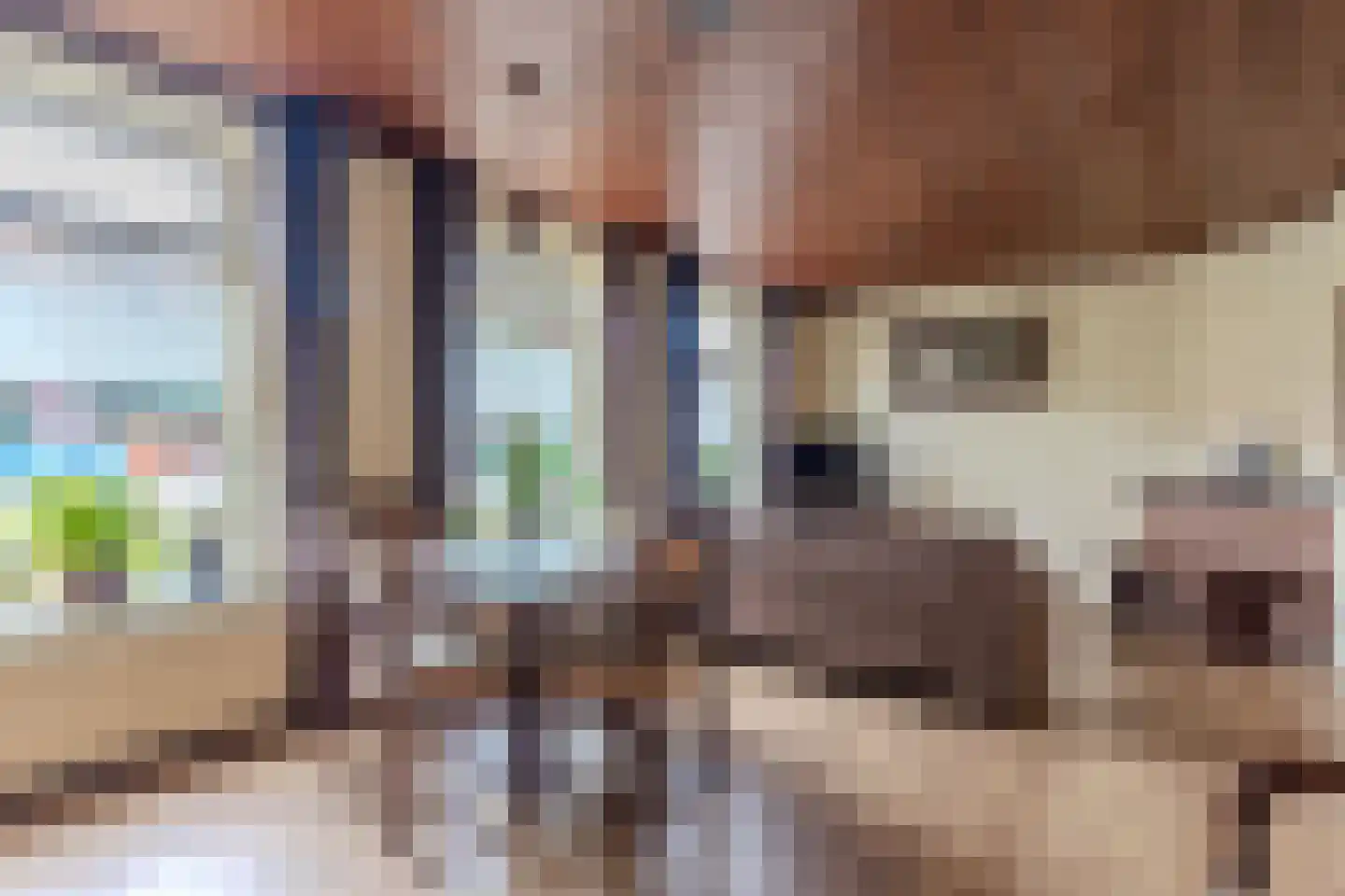Wilhelmietenstraat 6 Huijbergen thumbnail 11