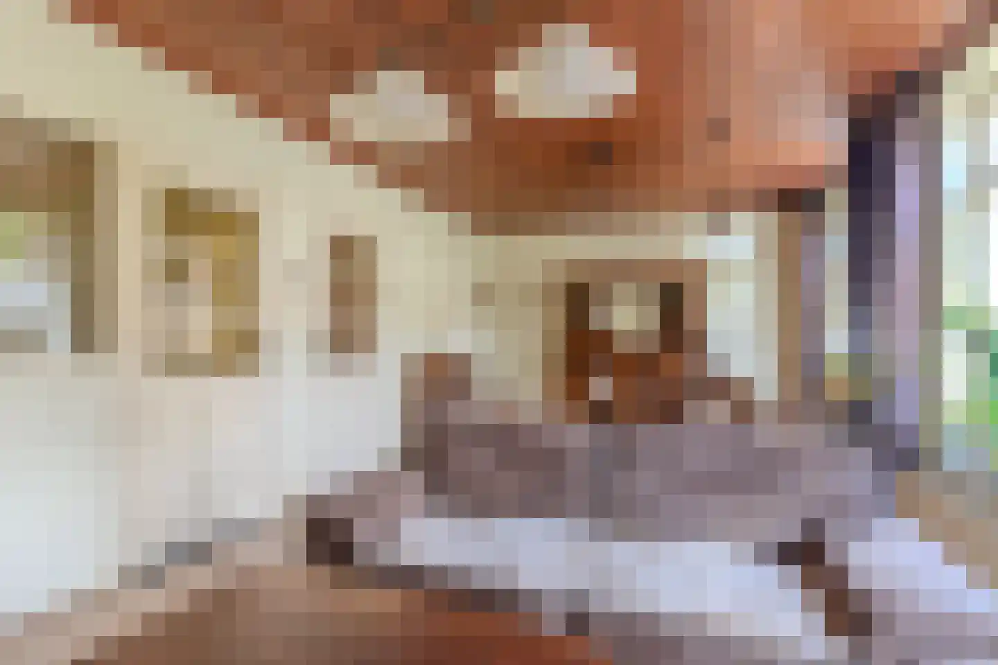 Wilhelmietenstraat 6 Huijbergen thumbnail 13