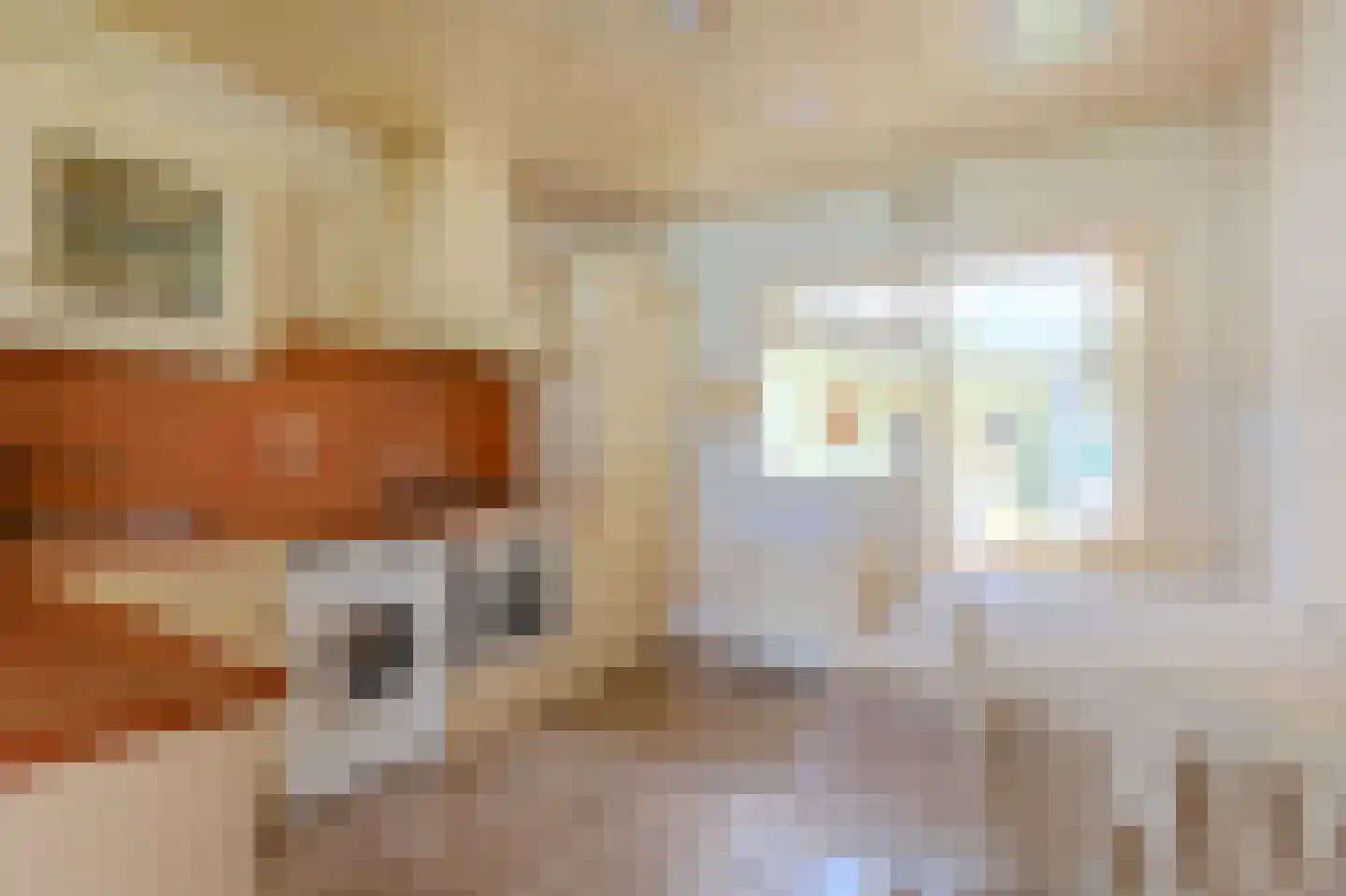 Wilhelmietenstraat 6 Huijbergen thumbnail 16