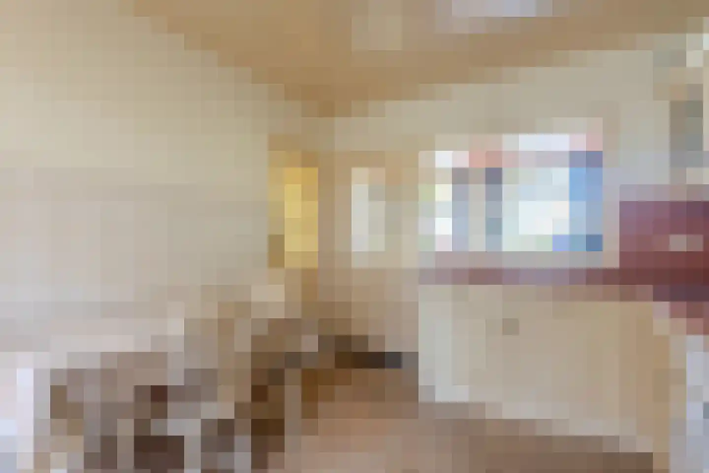 Wilhelmietenstraat 6 Huijbergen thumbnail 17