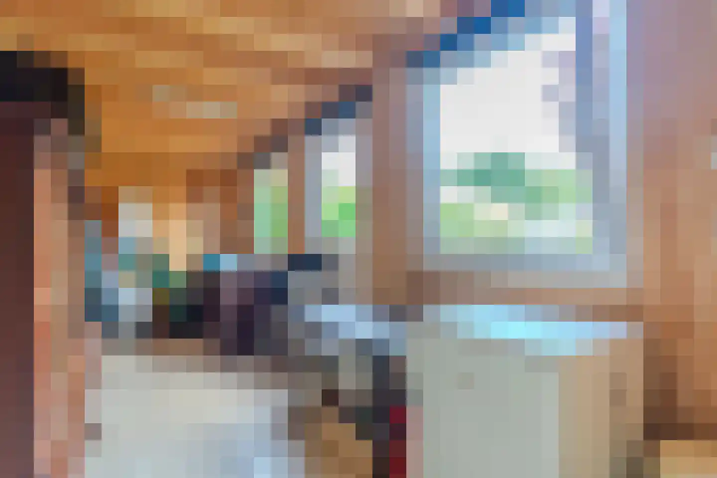 Wilhelmietenstraat 6 Huijbergen thumbnail 21
